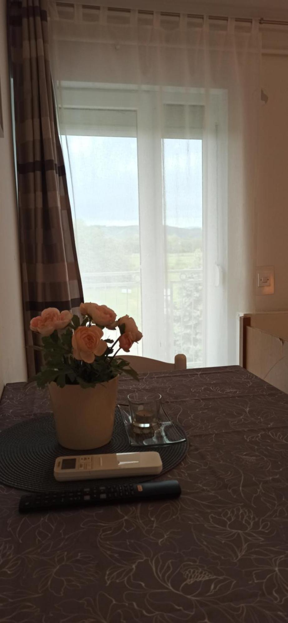 Studio Apartmani Ok Lipik Room photo